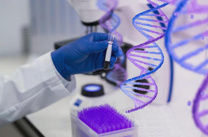 L ingénierie génétique CRISPR-Cas9